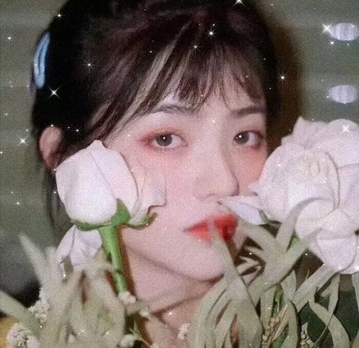 女战士艾菲菈&吉里鸥菈